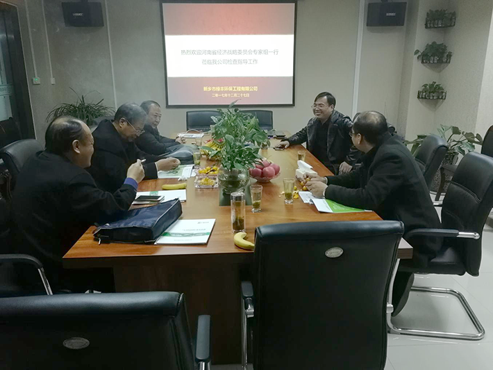 河南省經(jīng)濟(jì)戰(zhàn)略委員會專家組蒞臨綠豐環(huán)保檢查指導(dǎo)工作