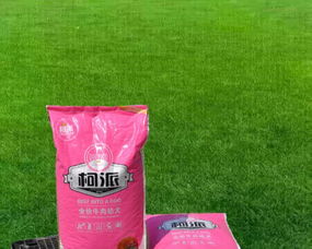 寵物食品產業鏈一站式解決方案 廠家直銷與代加工服務