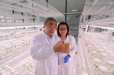 5·30來(lái)啦！河南科技工作者暢談農(nóng)業(yè)科學(xué)研究和試驗(yàn)發(fā)展新篇章