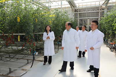 山東華宇工學院大學生創新創業實踐基地落戶德州財金智慧農業產業園，引領農業科研與試驗發展新篇章